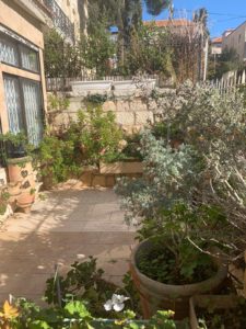 Shaare Hesed Properties - Garden