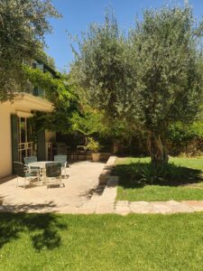 Katamon Jerusalem Property Garden